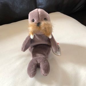 Jolly the walrus Beanie Baby